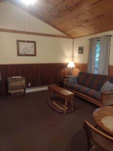 a living room with a couch and a table at Thunder Ridge Cabins B&B - Otter Lodge in Rockbridge