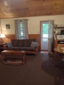 a living room with a couch and a table at Thunder Ridge Cabins B&B - Otter Lodge in Rockbridge