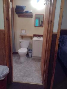 a bathroom with a toilet and a sink at Thunder Ridge Cabins B&B - Otter Lodge in Rockbridge +12 photos