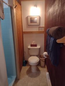 a small bathroom with a toilet and a shower at Thunder Ridge Cabins B&B - Wolf Den in Rockbridge +7 photos