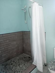 a shower with a white shower curtain in a bathroom at Kaye Daisy in Vieux Fort