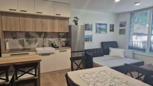 a kitchen and living room with a couch and a table at Ta World apartments in Spodnji Log