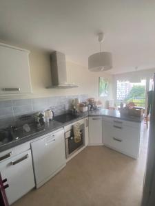 a kitchen with white cabinets and a stove top oven at Appartement Antoine in Rennes
