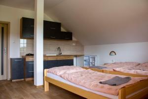 two beds in a room with a kitchen at Usedlost u rybníka in Velký Bor
