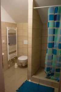 a bathroom with a toilet and a shower at Usedlost u rybníka in Velký Bor