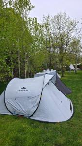 a tent sitting on the grass in a field at Camping Sandalandia in Vama Veche