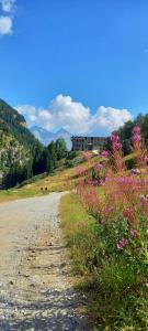 a dirt road next to a field of flowers at Les Hauts du Pâquier in Modane
