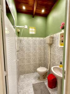 a green bathroom with a toilet and a sink at Residencial dos Freitas in Jericoacoara +44 photos