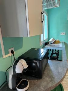 a kitchen with a counter with a microwave and a sink at Ouzouri Wa Lijou in Mzouazia
