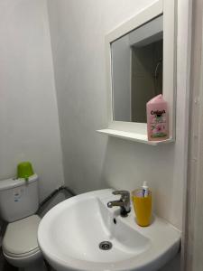 a bathroom with a sink and a toilet and a mirror at Ouzouri Wa Lijou in Mzouazia