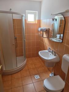 a bathroom with a shower and a toilet and a sink at Pension Nicoleta in Costeşti +41 photos
