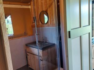 a bathroom with a sink and a mirror next to a door at Vakantieboerderij Den Deter in Meddoo