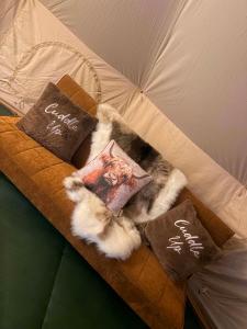 a cat laying on top of a bed with pillows at Woodview Caravan Site in Church Leigh