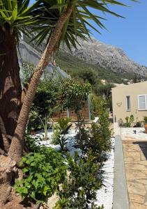 a garden with palm trees and plants in front of a house at Villa Metaxa Barbati Beach Corfu in Barbati
