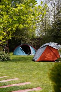 two tents sitting in the grass in a field at Camping Sandalandia in Vama Veche +59 photos