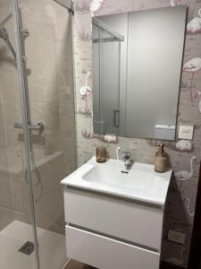 a bathroom with a sink and a shower with a mirror at Lar de Luz in Palas de Rei