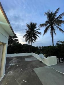 a view from the roof of a house with two palm trees at Oakville in Mysore