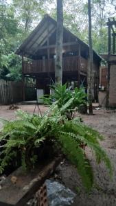 ein Haus mit einer Palme davor in der Unterkunft Altér Chale in Santarém
