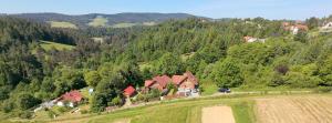 a house on the side of a hill with trees at W dolinie Sanu in Lesko