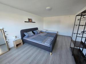 a bedroom with a bed and a ladder at Ferienwohnung An Der Kapelle in Rickenbach