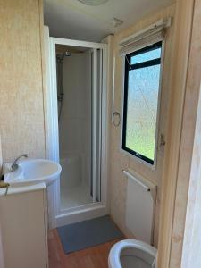 a bathroom with a toilet and a sink and a shower at 31 Mobile Home Lemon Park Devon in Bickington