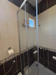 a shower with a glass door in a bathroom at Villa Lux in Žabljak +41 photos