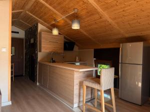 a kitchen with a counter and a refrigerator at Apartament ADA in Niesulice