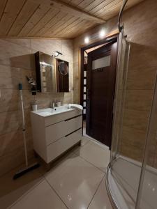 a bathroom with a sink and a shower at Apartament ADA in Niesulice