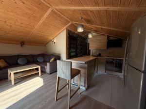 a kitchen and living room with a couch and a table at Apartament ADA in Niesulice