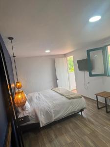 a bedroom with a bed and a lamp in it at Hotel Tumbaga 88 in Salento