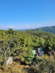 a view from the top of a hill with trees at Vatiguesthouse in Shillong +6 photos