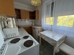 a kitchen with a white stove and a sink at Piszkei Apartman in Lábatlan