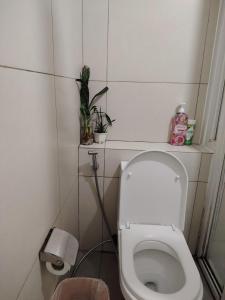 a small bathroom with a toilet with a plant on the shelf at Tala Transient House in Baguio