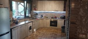 a kitchen with a sink and a stove top oven at Dvalebi's Marani in Gori +13 photos