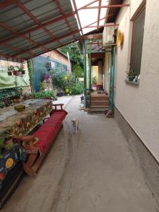 a dog is standing next to benches in a building at Liza Panzio in Mali Iđoš
