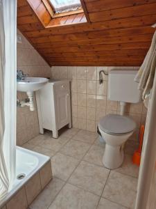 a bathroom with a toilet and a sink at Naplopó-lak in Ábrahámhegy +18 photos