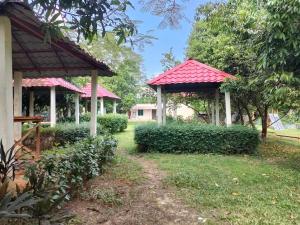 two gazebos with a red roof in a yard at Krishibid Resort 
