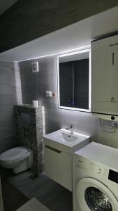 a bathroom with a toilet sink and a washing machine at Vozd Apartment in Belgrade +5 photos