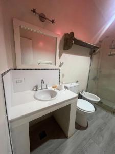 a bathroom with a sink and a toilet and a mirror at Apart Santa Ana in Santa Ana +19 photos