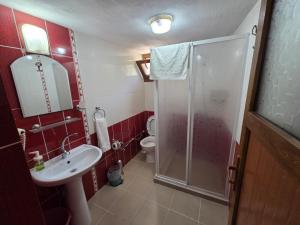 a bathroom with a shower and a sink and a toilet at Vama Konuk Evi in Gokceada Town