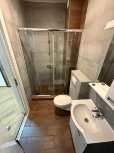 a bathroom with a shower and a toilet and a sink at Božur 2 in Vrnjci