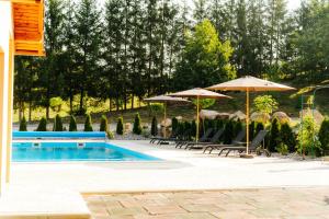 a swimming pool with umbrellas and chairs and a swimming pool at Transylvanian Relax House in Lupeni