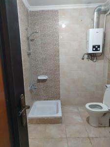 a bathroom with a shower and a toilet at العبور الحى التاسع in Obour