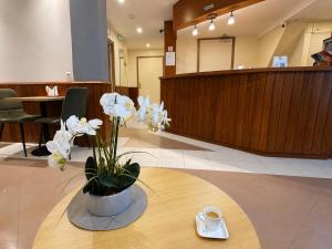 a vase of white flowers on a table in a lobby at Hôtel des Bains 24h 7j Paris centre à 10 min in Maisons-Alfort