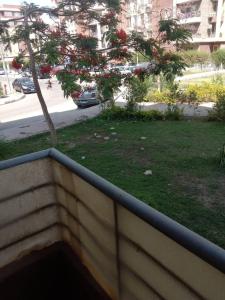 a view of a park with a tree with red flowers at العبور الحى التاسع in Obour