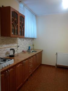 Кухня або міні-кухня у Apartments Domovik Beljaeva,5а