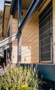 a house with a plant in front of a window at Seascape Cottage on Kangaroo Island in Baudin Beach