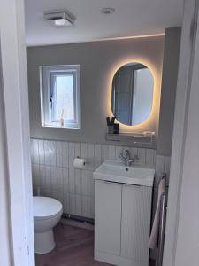 a bathroom with a toilet and a sink and a mirror at Riverhill in Abersoch