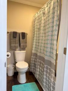a bathroom with a toilet and a shower curtain at The Sandstone Suite in Cleveland +11 photos