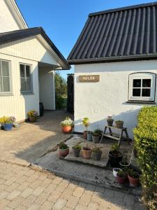 a house with potted plants in front of it at Hulen, Lundeledsvej 5 in Lund +6 photos